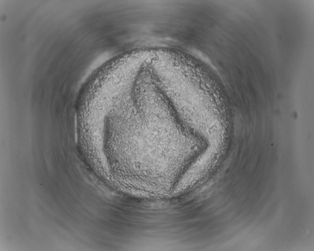 X0000076351219200610272111