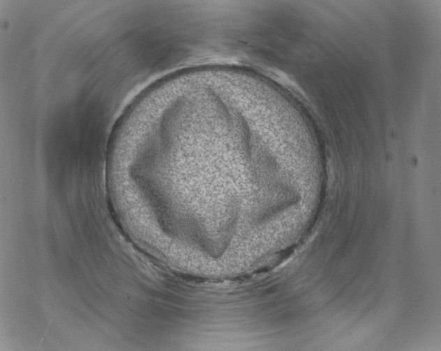 X0000076351220200610272111