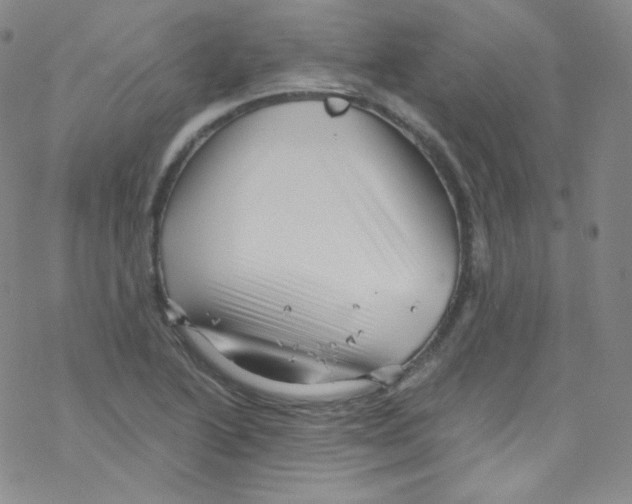 X0000076351222200610272111