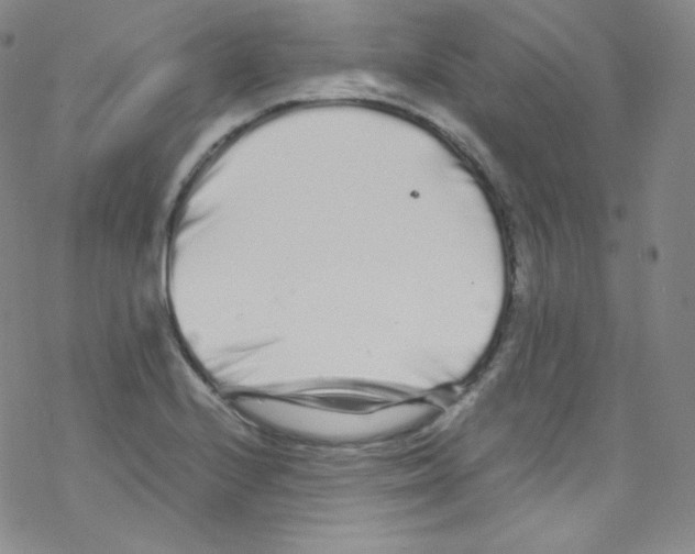 X0000076351224200610272112