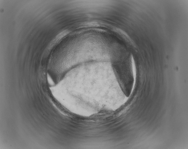 X0000076351225200610272112