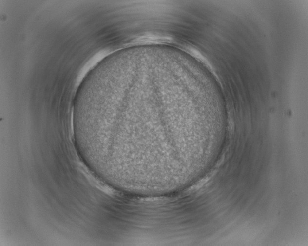 X0000076351227200610272112