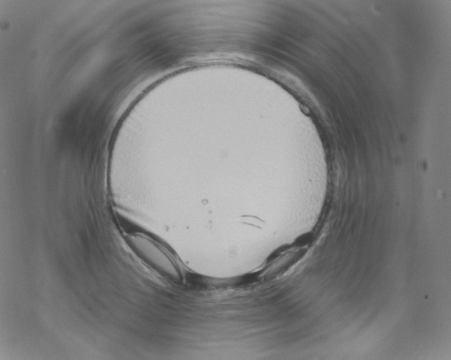 X0000076351228200610272112