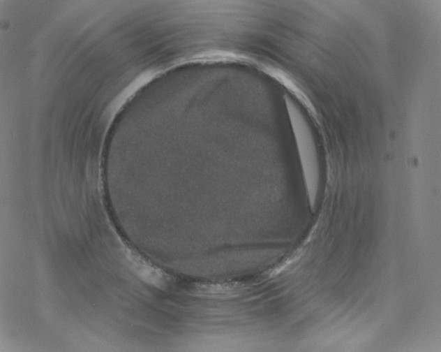 X0000076351229200610272112