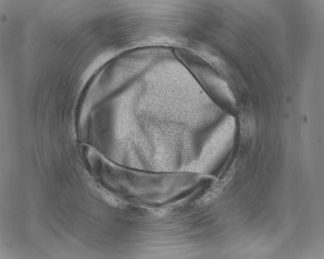 X0000076351230200610272112