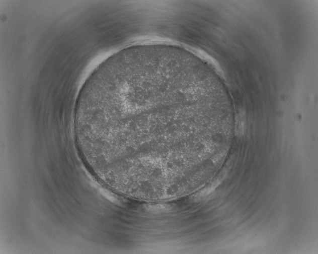 X0000076351231200610272112