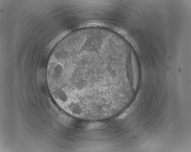 X0000076351233200610272112