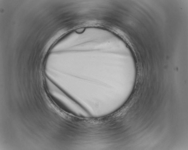 X0000076351235200610272112