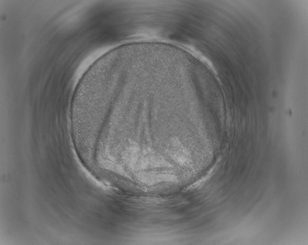 X0000076351239200610272112