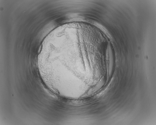 X0000076351241200610272112