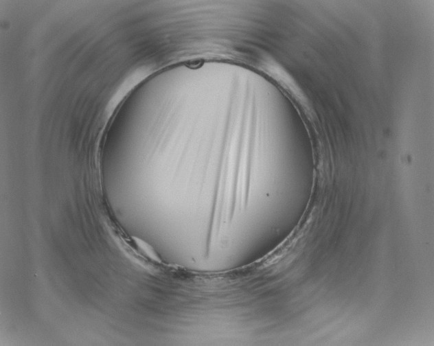 X0000076351242200610272112