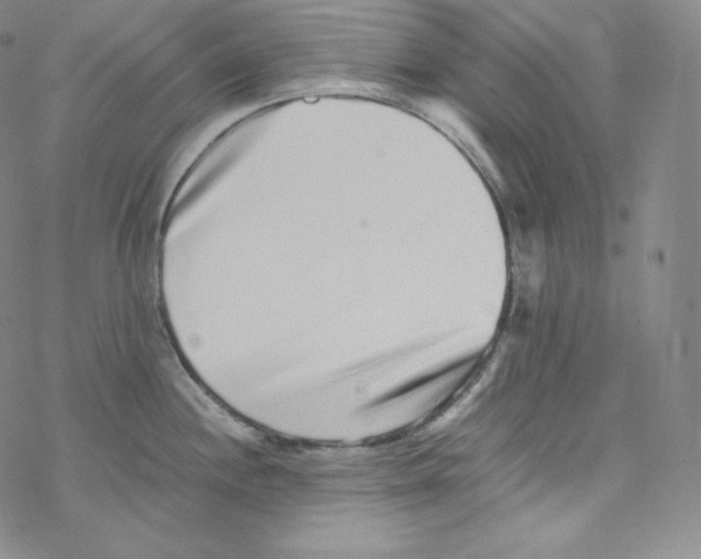 X0000076351244200610272112