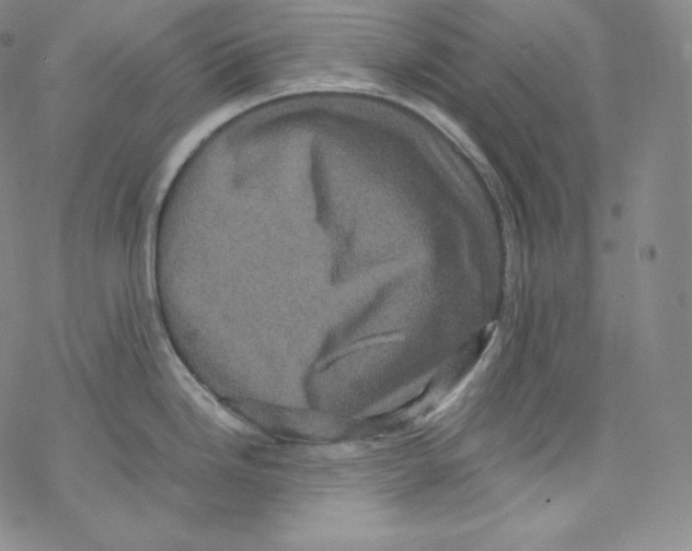 X0000076351246200610272112