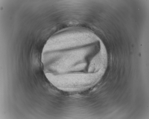 X0000076351250200610272111