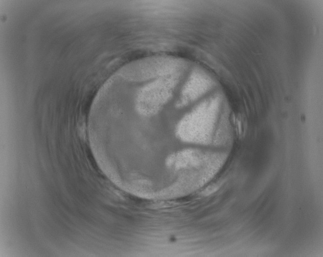 X0000076351251200610272111