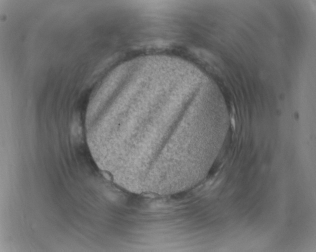 X0000076351252200610272111