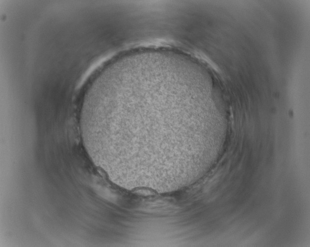 X0000076351256200610272111