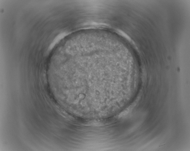 X0000076351259200610272111