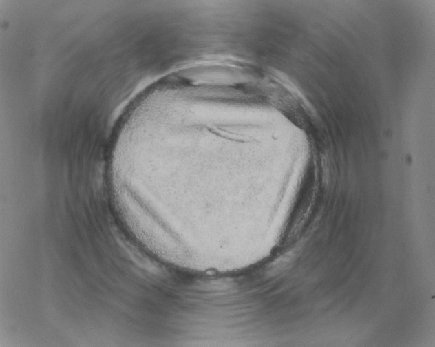 X0000076351260200610272111