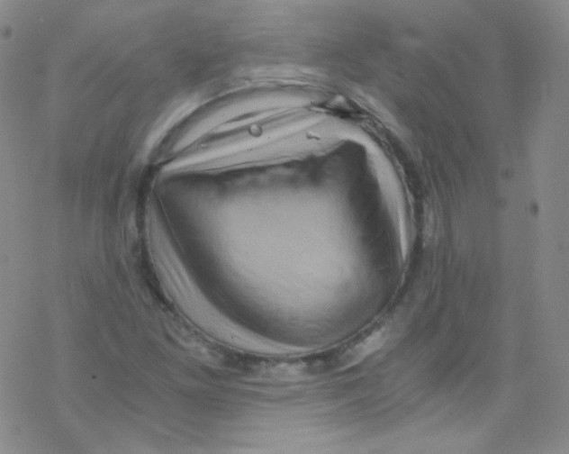 X0000076351261200610272111