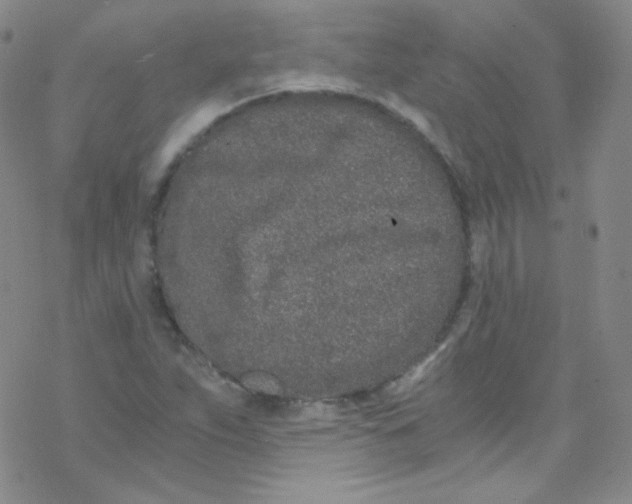 X0000076351263200610272111