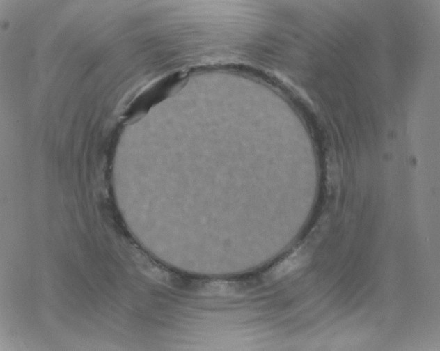 X0000076351265200610272111