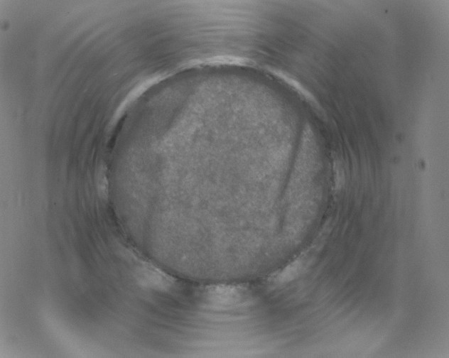 X0000076351266200610272111