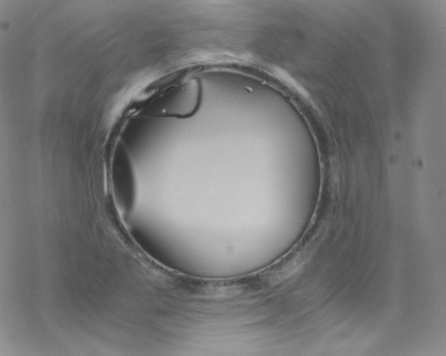 X0000076351269200610272111