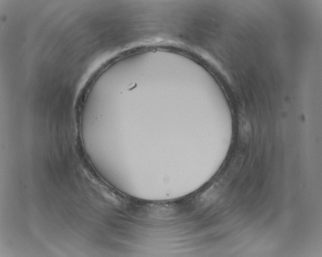 X0000076351270200610272111