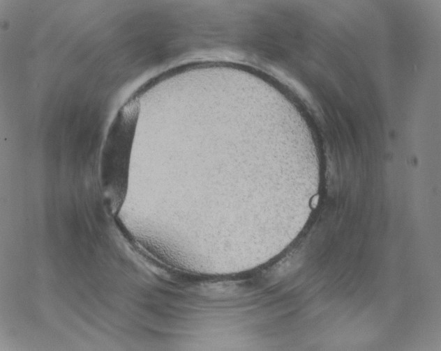 X0000076351272200610272111