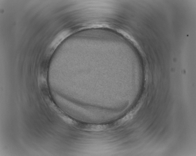 X0000076351273200610272111