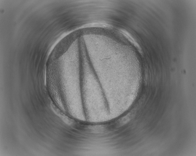 X0000076351276200610272111