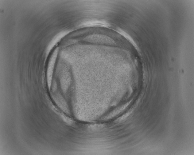 X0000076351277200610272111