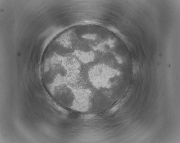 X0000076351278200610272111