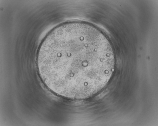 X0000076351279200610272111