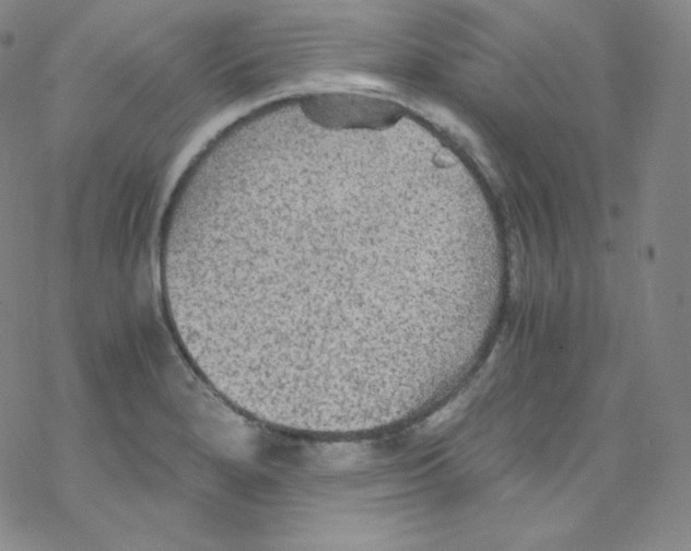 X0000076351280200610272111