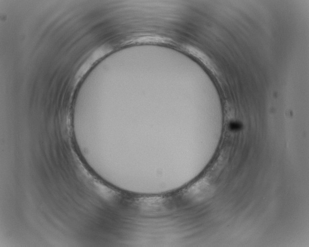 X0000076351282200610272111