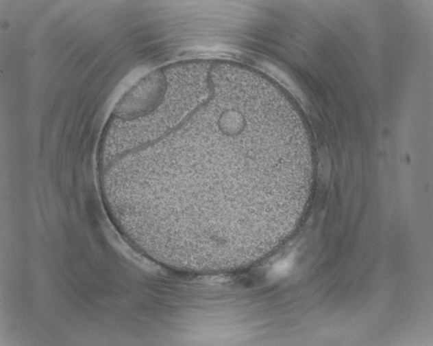 X0000076351283200610272111