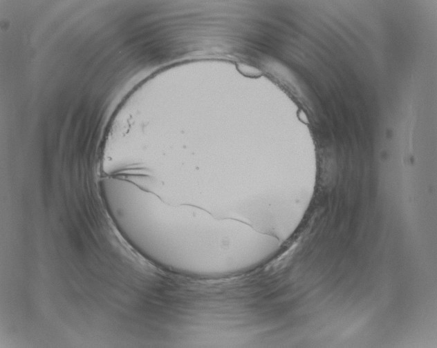 X0000076351284200610272111