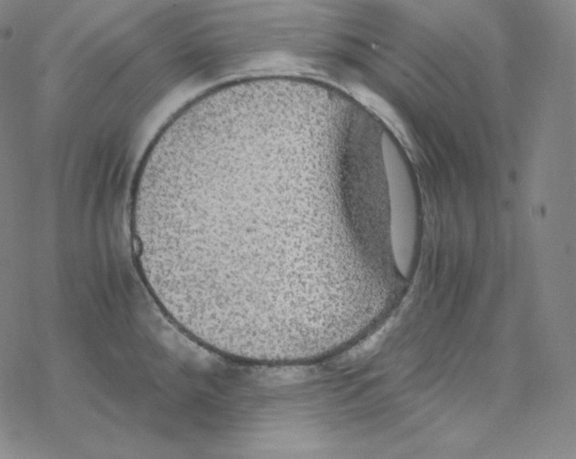 X0000076351288200610272110