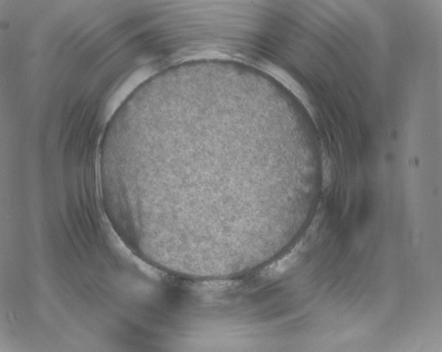 X0000076351290200610272110