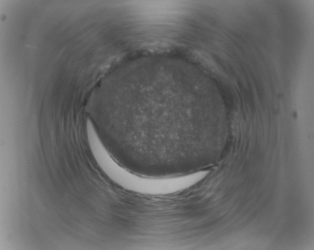 X0000076351298200610272110