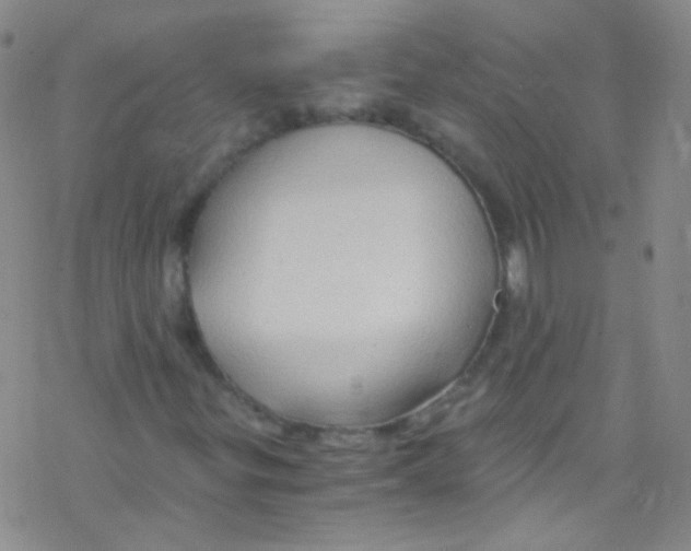 X0000076351299200610272110