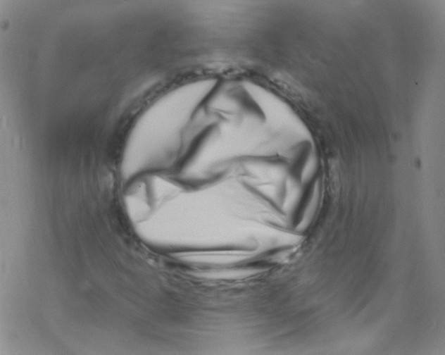 X0000076351302200610272110