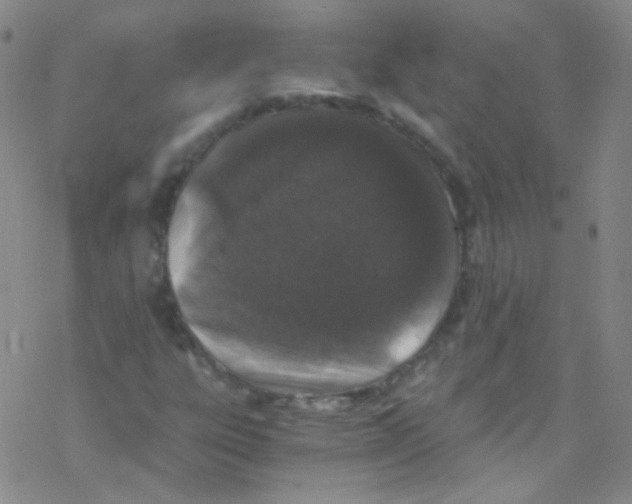 X0000076351303200610272110