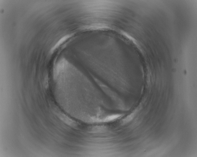 X0000076351306200610272110