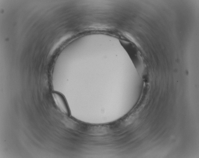 X0000076351307200610272110