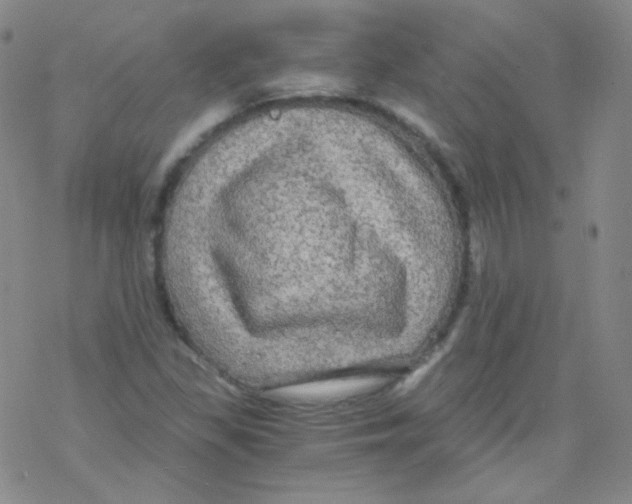 X0000076351309200610272110