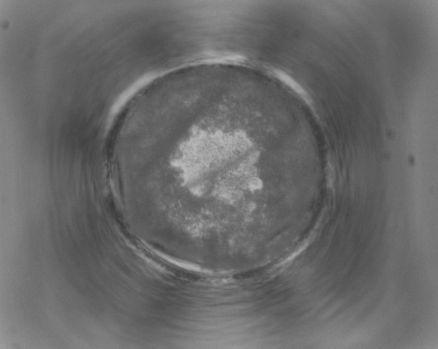 X0000076351310200610272110