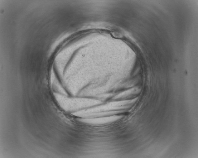 X0000076351312200610272110